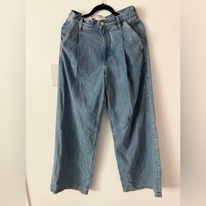 Agolde Relaxed Fit Light Blue Jeans
